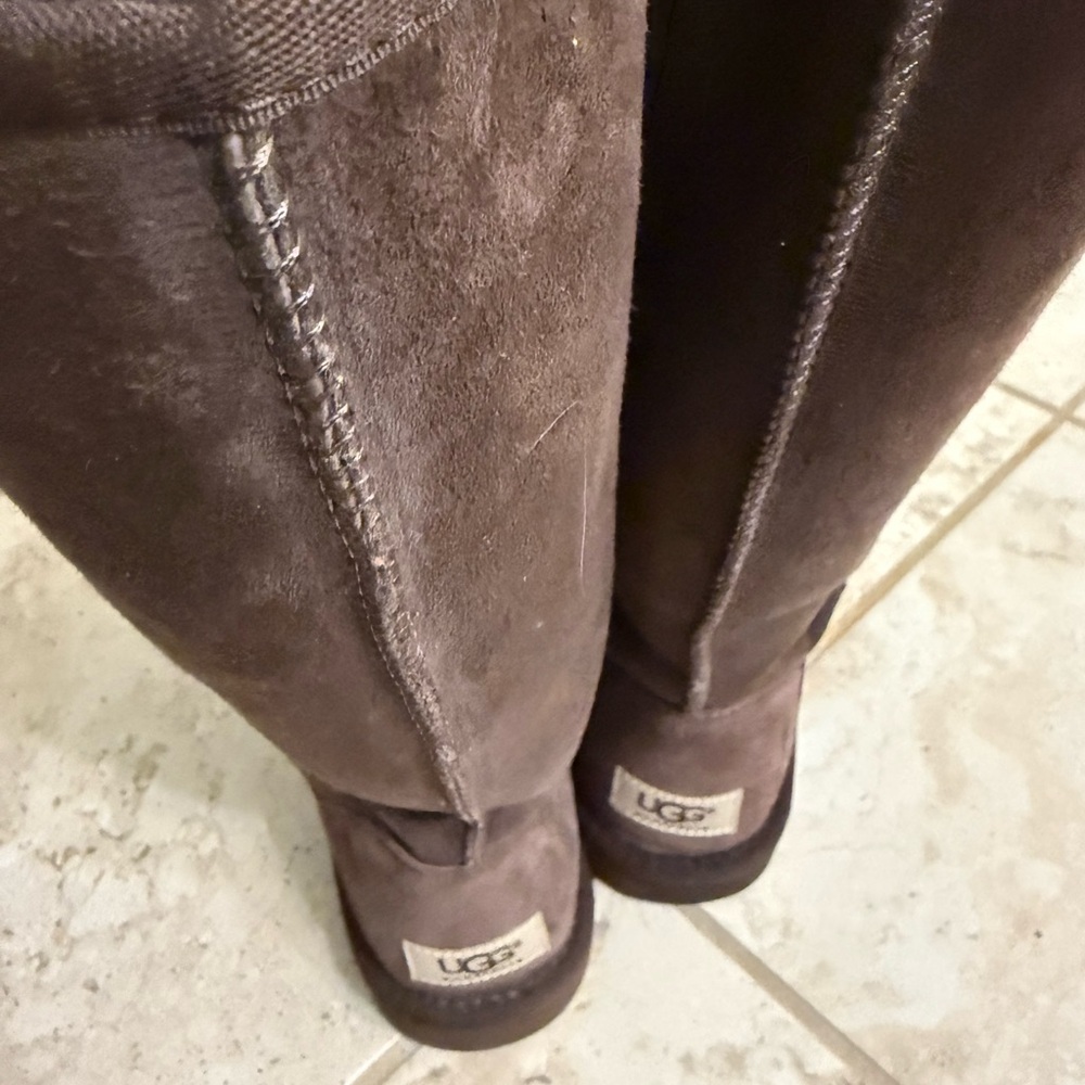 UGG Brown Winter Boots